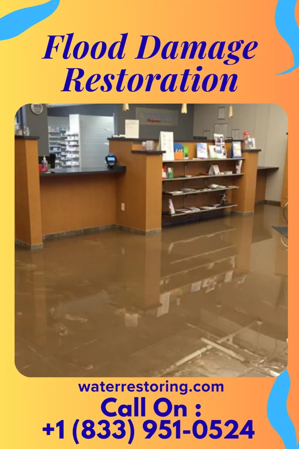 Flood Damage Restoration in Cohutta, GA