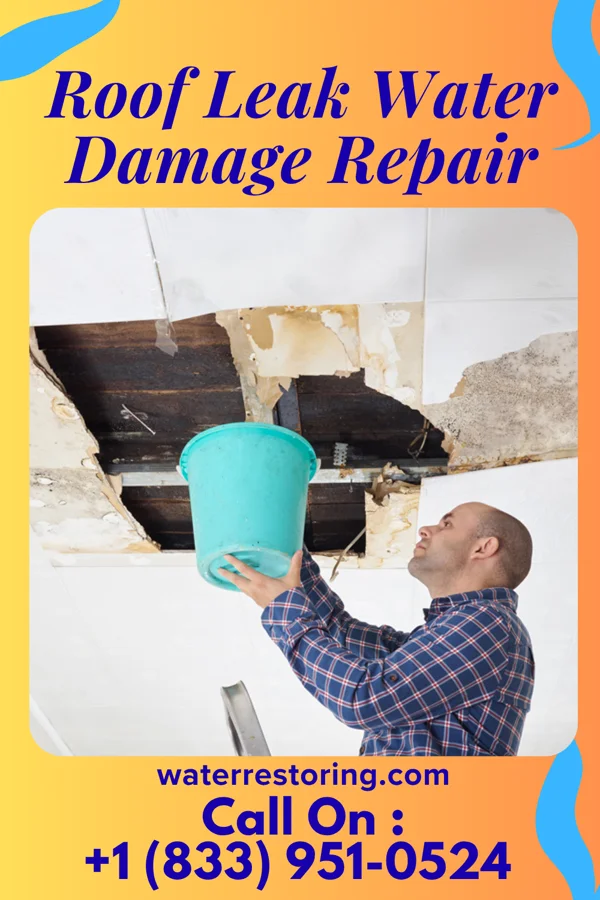 Roof Leak Water Damage Repair in Cohutta, GA